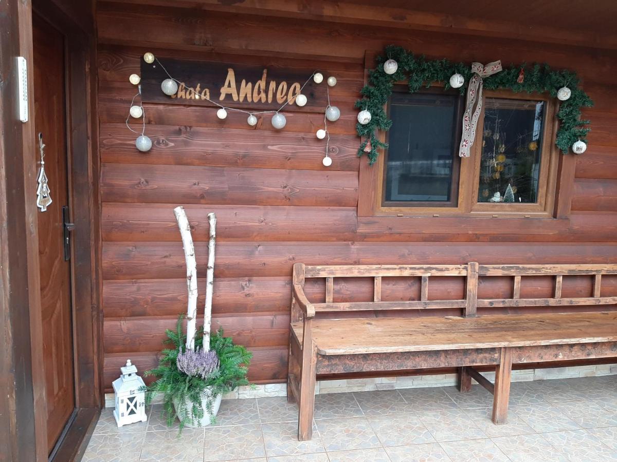 Willa Andrea- neakceptujeme mladé partie Tierchowa Zewnętrze zdjęcie